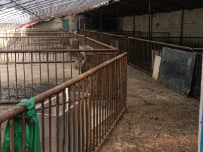 (出租) 猪场养殖专用水电方便年租图2