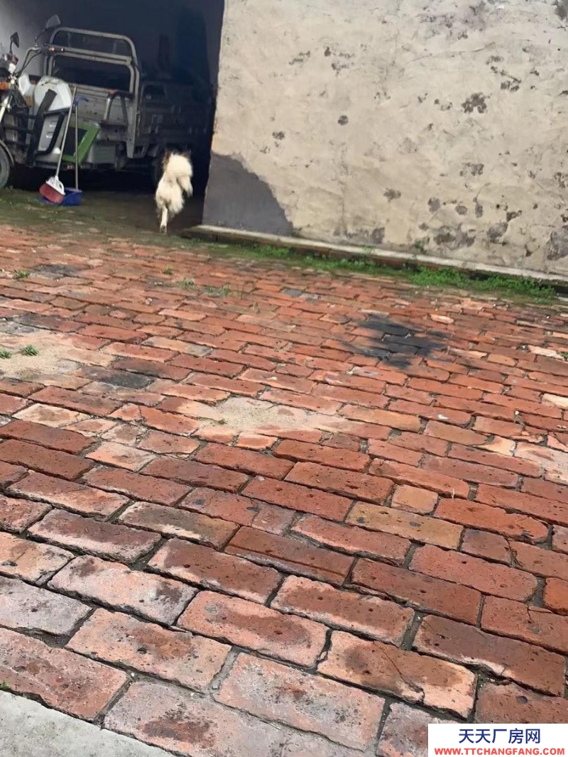 (出售) 出售平鲁区东平小区南门对面个人平房