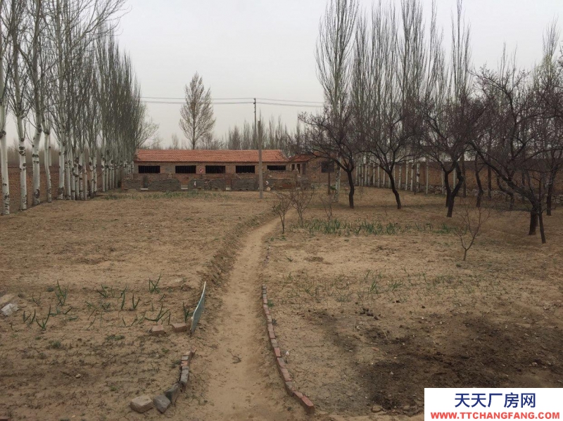 (出售) 出售平鲁北平厂房占地面积大