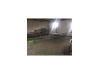 (出租)南乐厂房出租 自盖厂房 杨村乡图3
