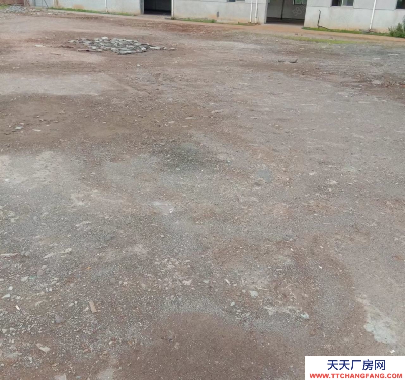 绍兴市新昌(出租) 房东优惠出租 厂房 仓库1300平方 空场地3000平方