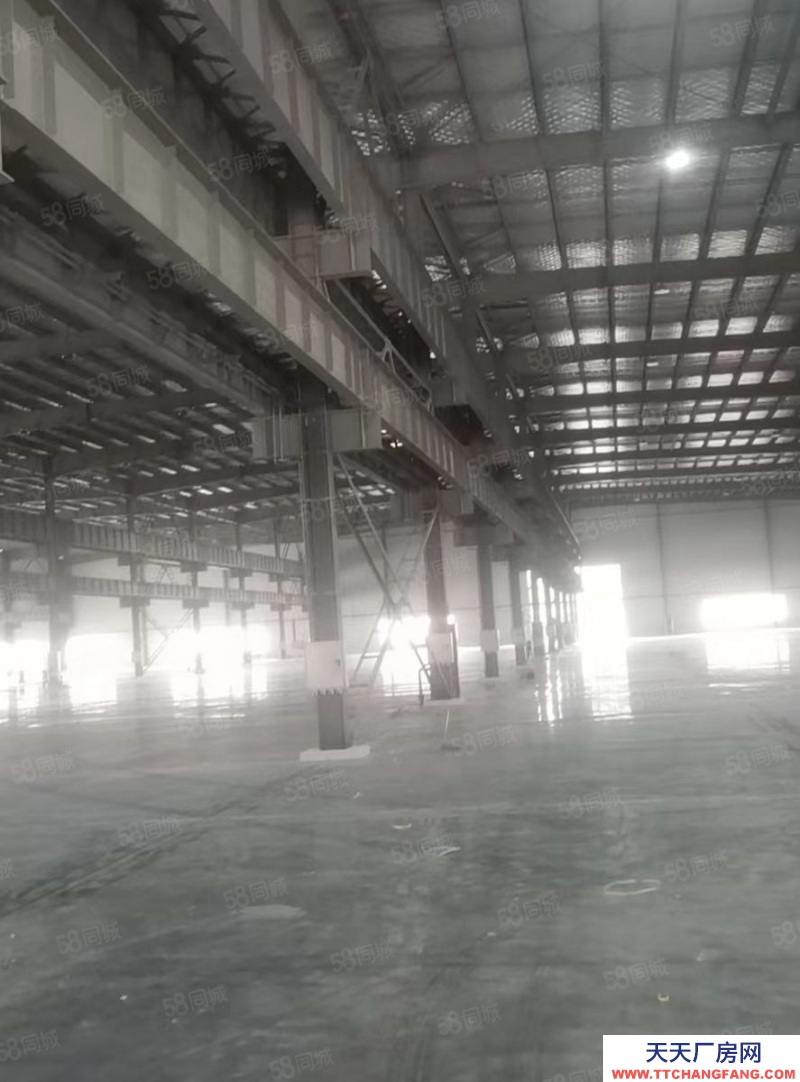 绍兴市新昌(出租) 全新单一层5000方起租，30000平