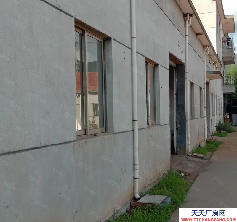 绍兴市新昌(出租) 房东优惠出租 厂房 仓库1300平方 空场地3000平方