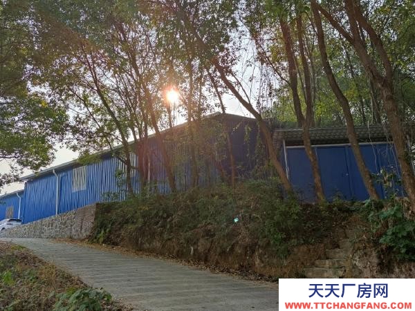 永州市祁阳区物资仓库  厂棚仓库陶铸路进入荷花路