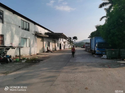 (出租) 惠州惠阳淡水白云六路南站新城附近8米高钢结构出租生产等行业无限制图1