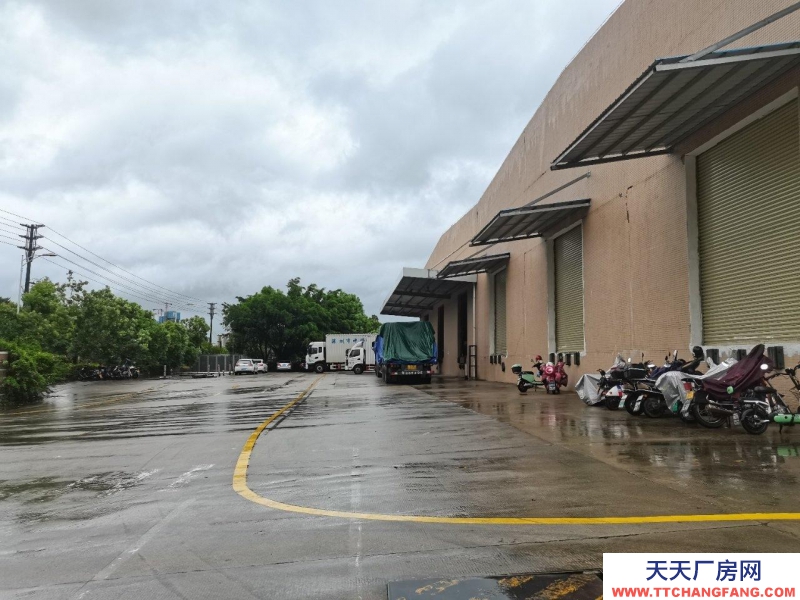 (出租) 惠州惠阳淡水南站带卸货平台仓库出租面积8647平方丙类消防