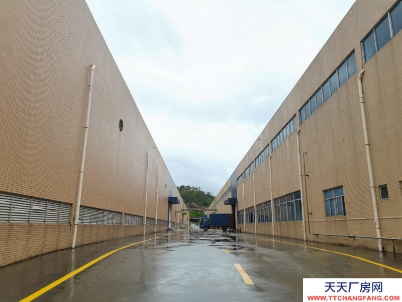 (出租) 惠州惠阳淡水南站带卸货平台仓库出租面积8647平方丙类消防