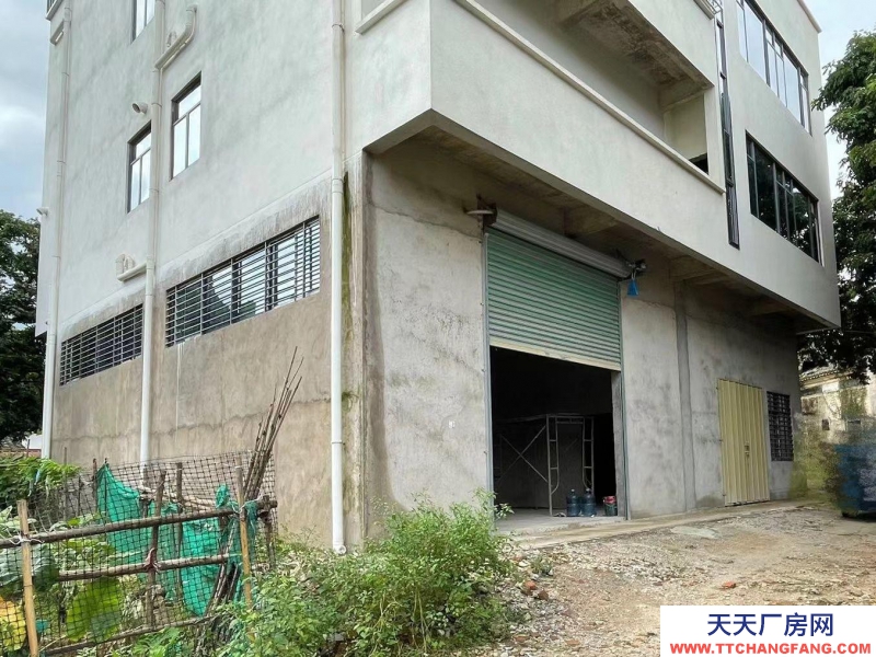 (出租)惠州惠阳秋长街道维白新村仓库用途，有污染或危险品勿扰