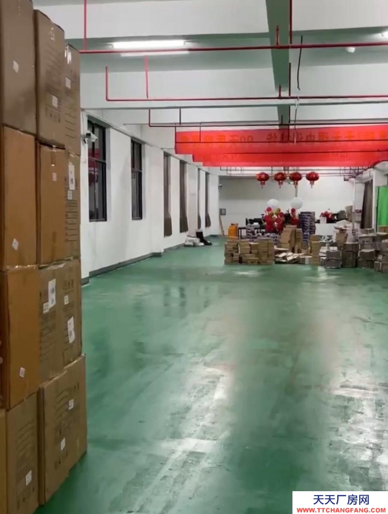 (出租) 惠州惠东电商仓库 直播场地写字楼办公 仓库