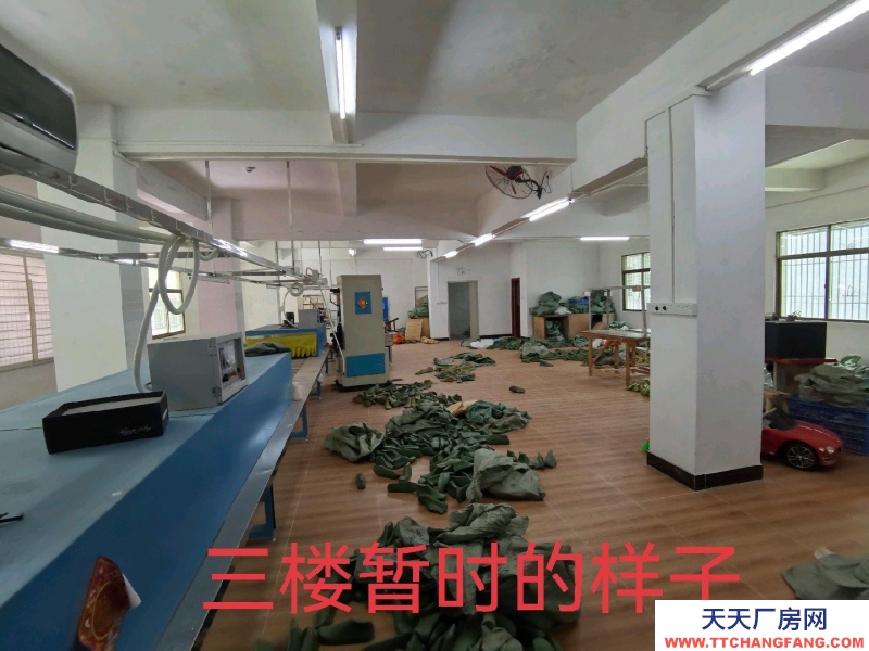 (出租) 惠州惠东适合做淘宝工作室+仓库管理