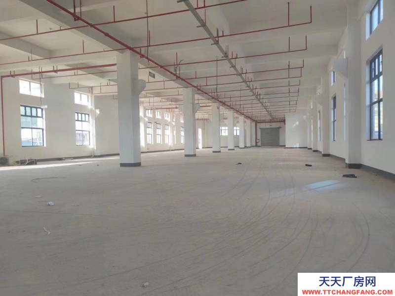 (出租) 惠州惠东电商仓库直播场地写字楼办公室大型库房