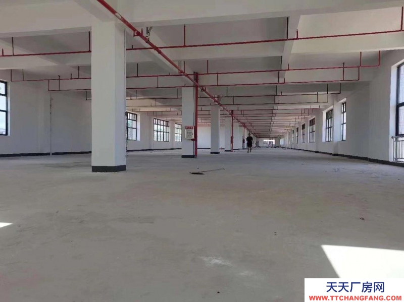 (出租) 惠州惠东电商仓库直播场地写字楼办公室大型库房