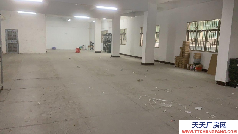 (出租) 惠州惠东交通便利 光线充足 可做淘宝仓库 直播办公