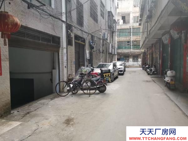 永州市道县物资仓库 出租道县潇水中路368号门面的地下仓库