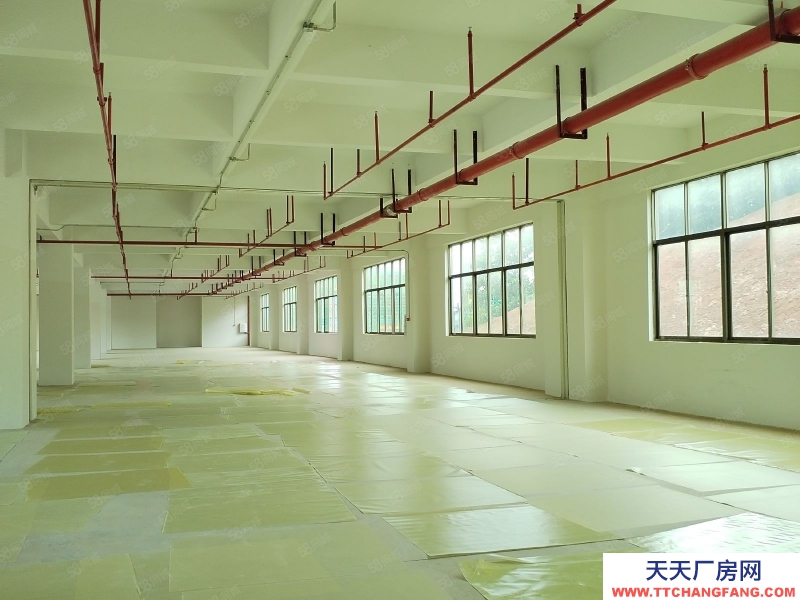 (出租) 梅州梅江大车出入方便适合做电子厂，制衣厂等各种加工厂