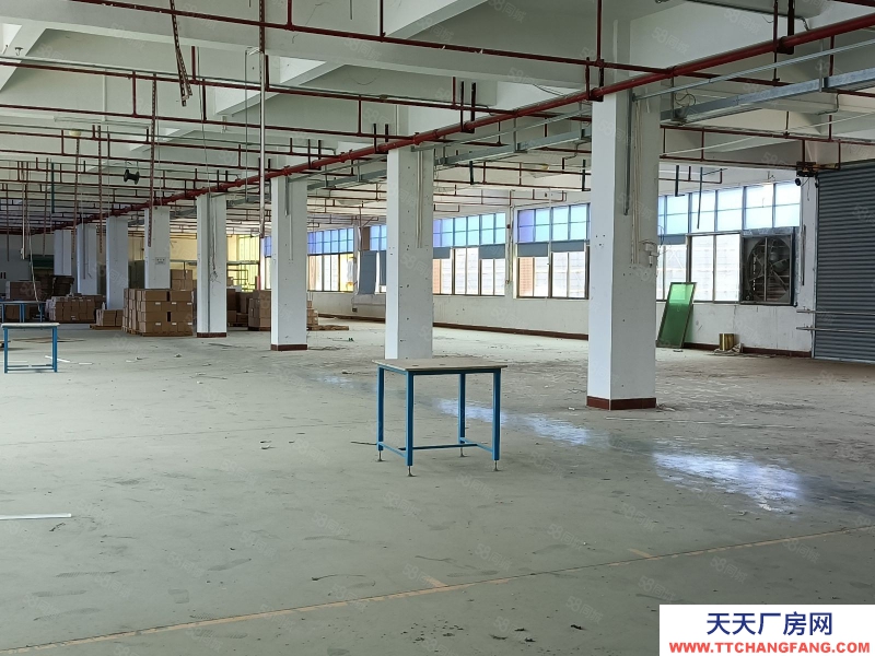 (出租) 梅州梅江顺风车站附近1100平方标准厂房拖头可达适合电子加工