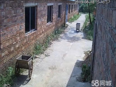 永州市东安蛋白饮料厂房 此厂房路、电、水、网通畅，适合作农庄，厂房，仓库等。图2