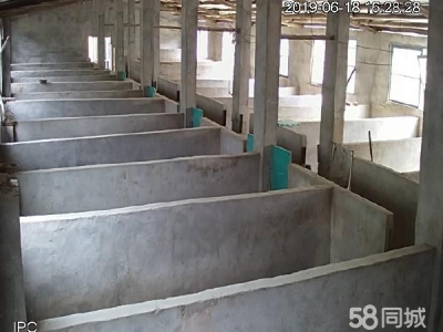 永州市东安蛋白饮料厂房 此厂房路、电、水、网通畅，适合作农庄，厂房，仓库等。图1