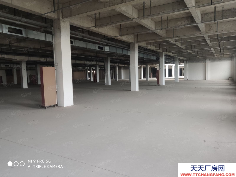 绍兴市诸暨(出租) 80元每平米，诸暨36000平米仓库出租大小分租