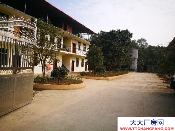 永州市东安调味面制品厂房  大型厂房整体出租或分栋出租