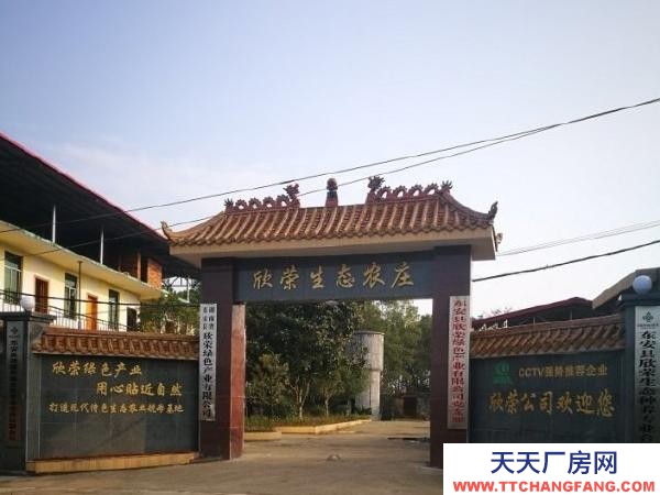 永州市东安调味面制品厂房  大型厂房整体出租或分栋出租