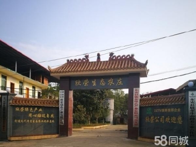 永州市东安调味面制品厂房  大型厂房整体出租或分栋出租图1