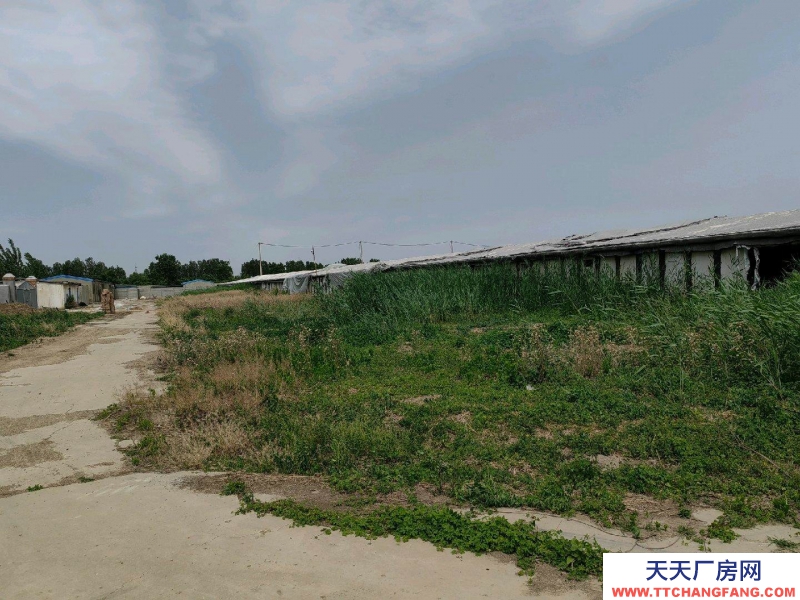 邢台 巨鹿 (出租) 交通方便有三相电有水
