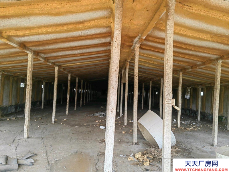 邢台 巨鹿 (出租) 交通方便有三相电有水