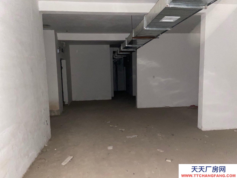 邢台 巨鹿 (出租) 出租地下室仓库699平米