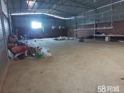 永州市新田物资仓库  交通便利，厂房明亮，透气好图2