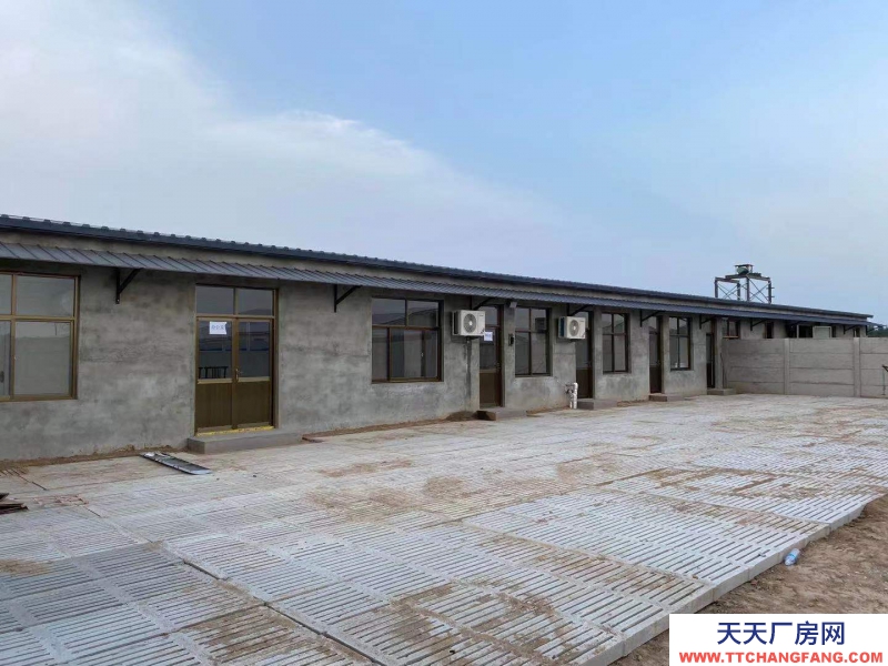 邢台 广宗  (出租) 自建养猪场，可容纳1800头肥猪欢迎老板咨询