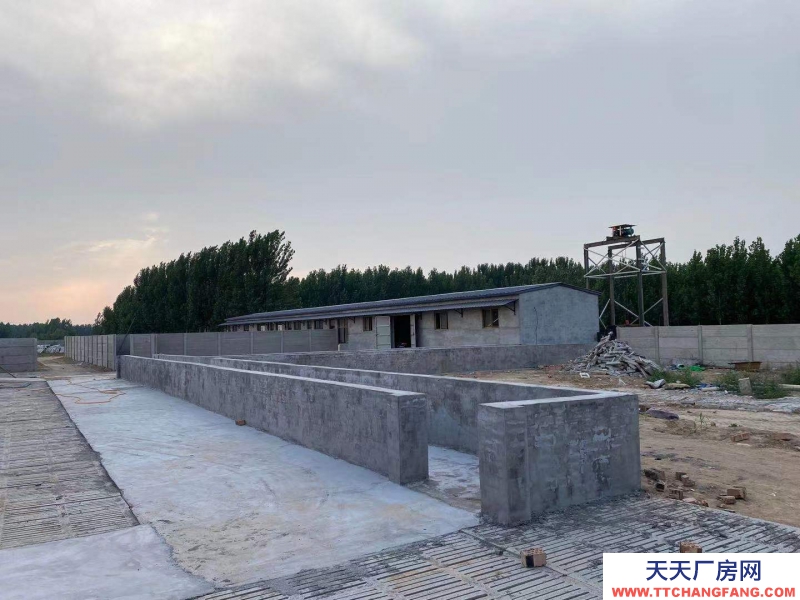 邢台 广宗  (出租) 自建养猪场，可容纳1800头肥猪欢迎老板咨询