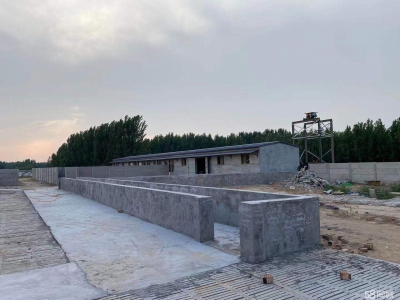 邢台 广宗  (出租) 自建养猪场，可容纳1800头肥猪欢迎老板咨询图4