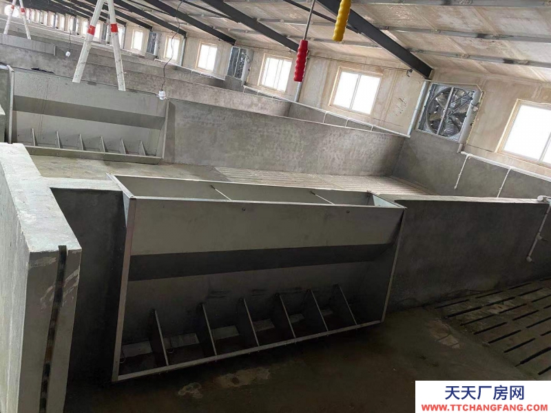 邢台 广宗  (出租) 自建养猪场，可容纳1800头肥猪欢迎老板咨询
