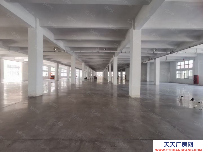 绍兴市上虞区(出租) 位置上虞沥海，厂房漂亮，层高一搜6米。二楼5米适合用电量行业或仓等