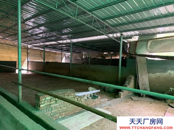 永州市双牌养殖厂房 适合畜牧业养殖，牛羊鸡鸭猪