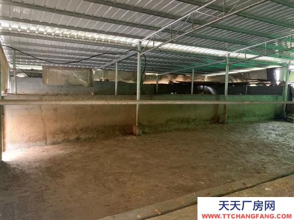 永州市双牌养殖厂房 适合畜牧业养殖，牛羊鸡鸭猪