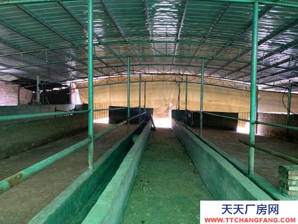 永州市双牌养殖厂房 适合畜牧业养殖，牛羊鸡鸭猪