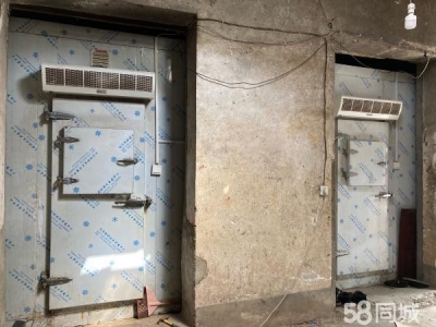 娄底市娄星物资仓库 市中心大型冷冻库房冷库冻库出租，可整租可拼租，价格面议图4