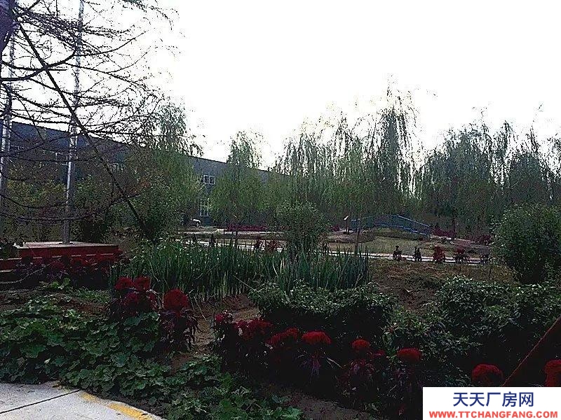 (出租) 威县开发区厂房4万平，水电齐全，交通便利，可整租，也可分租。