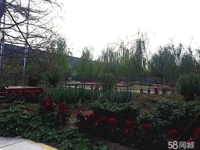 (出租) 威县开发区厂房4万平，水电齐全，交通便利，可整租，也可分租。图2