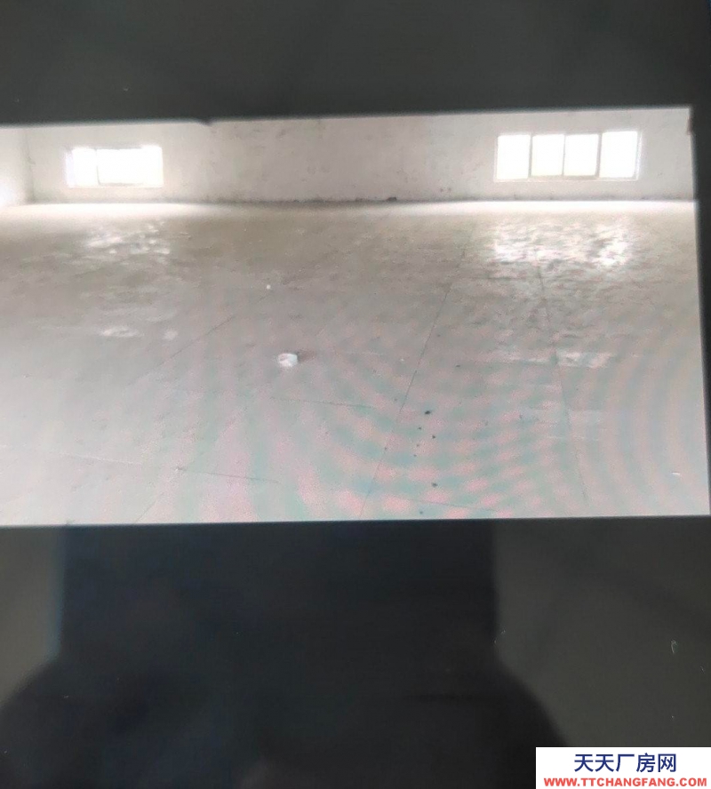 邢台 清河(出租) 邱家那村西头水产制品厂房一处