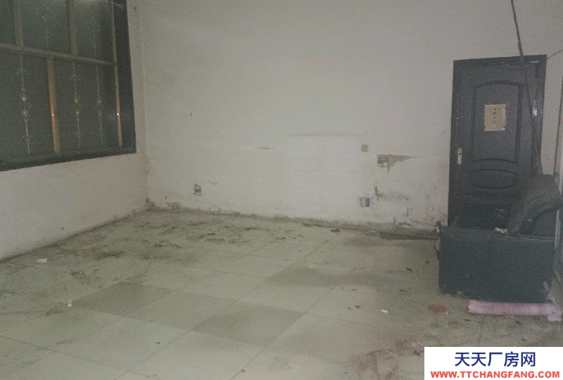 邢台 清河 (出租) 小屯龙飞保健食品园西1000米路南