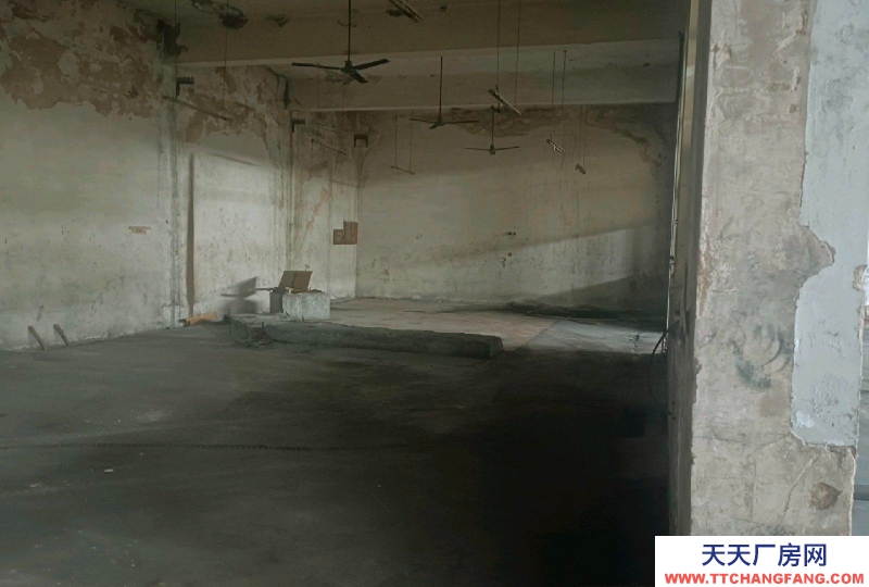 邢台 清河 (出租) 小屯龙飞保健食品园西1000米路南