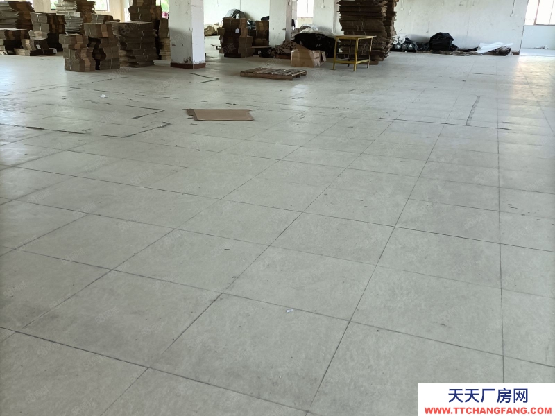 (出租) 梅州梅县电子厂服装玩具厂等1000平方，有办公住宿带货梯九米六可进！