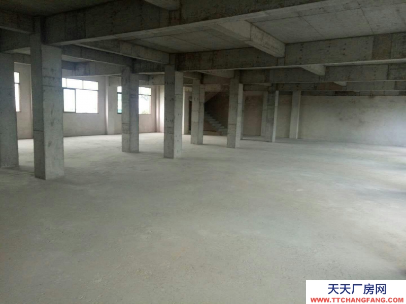 (出租) 梅州丰顺汤坑东里国道边 仓库商铺厂房 800平米适合小型加工仓库
