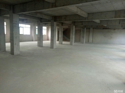 (出租) 梅州丰顺汤坑东里国道边 仓库商铺厂房 800平米适合小型加工仓库图1