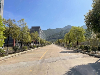 (出租) 梅州蕉岭全新厂房免租两年，交通便利位置好，蕉岭泰然健康产业园适合食品研发医疗行业图3