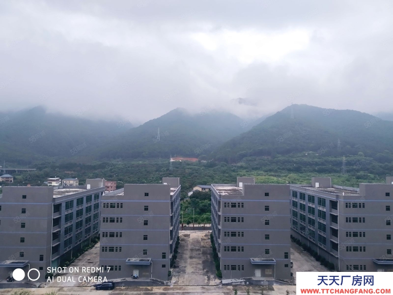 (出租) 梅州蕉岭高速口厂房物业直租，交通便利位置佳，适合食品研发