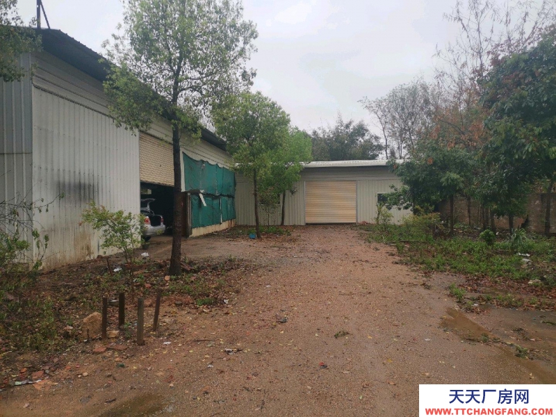 (出租) 梅州兴宁四周围墙，内有空地，水，三相电可做五金机电
